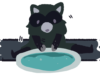 Washing Raccoon